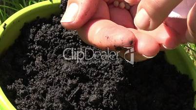 slow motion and close up on planting seeds