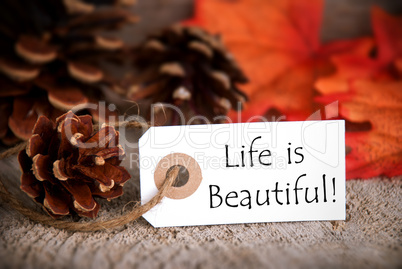 Fall Tag with Life is Beautiful