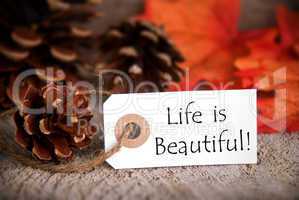 Fall Tag with Life is Beautiful