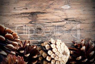 Fir Cones on Wood as Autumn Background