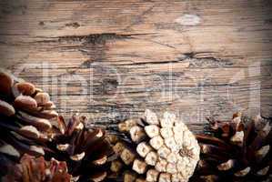 Fir Cones on Wood as Autumn Background
