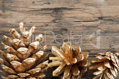 Golden Fir Cones on Wood