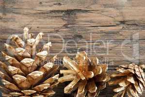 Golden Fir Cones on Wood