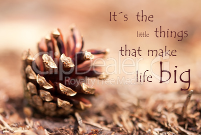 Fir Cone with Saying Its the Little Things That Make Life Big