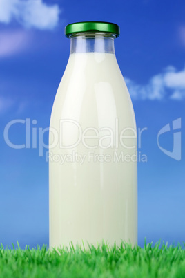 Frische Milch in der Flasche auf einer Wiese