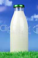Frische Milch in der Flasche auf einer Wiese