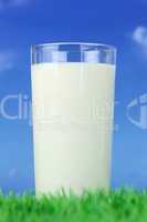 Frische Milch im Glas auf einer Wiese