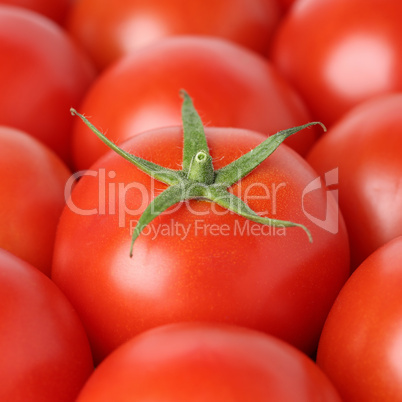 Frische Tomaten Gemüse