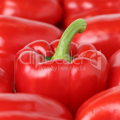 Roter Paprika Gemüse