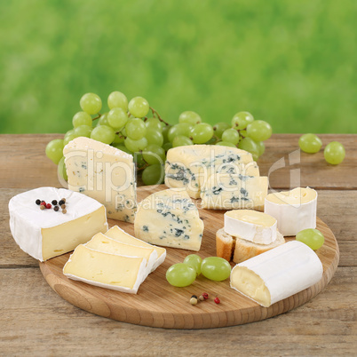 Käseplatte mit Käse wie Camembert, Gorgonzola und Brie