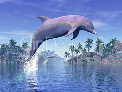 Dolphin in the tropics - 3D rneder