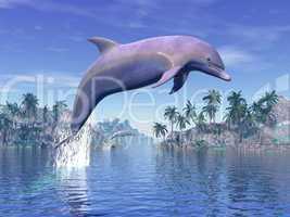 Dolphin in the tropics - 3D rneder