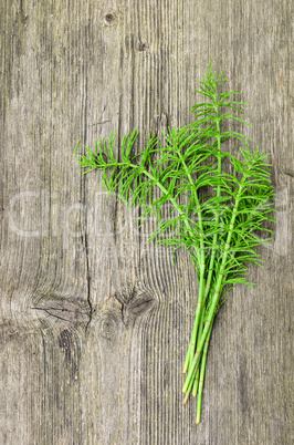 Harvested Horsetail