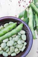 broad beans