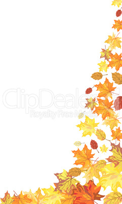 Autumn maple background