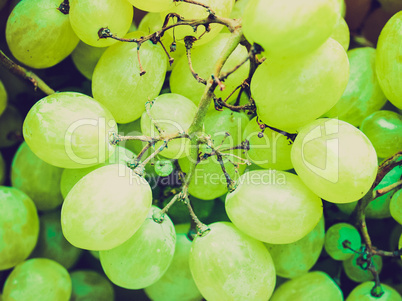 Retro look Grape picture