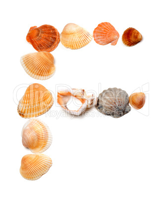 Letter F composed of seashells