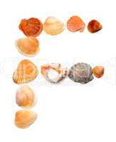 Letter F composed of seashells