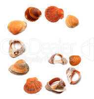 Letter G composed of seashells