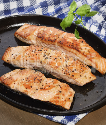 Salmon Fillets