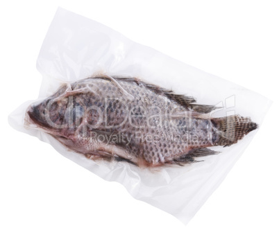 Frozen Whole Fish