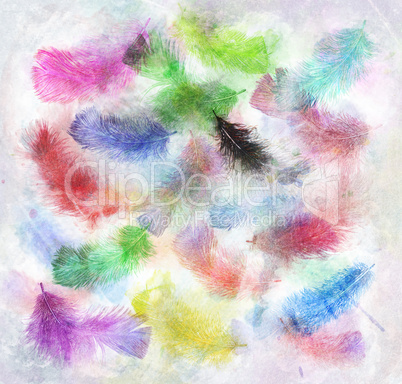 Watercolor Image Of  Feathers
