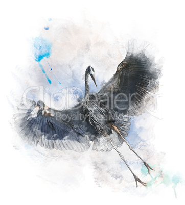 Watercolor Image Of  Great Blue Heron