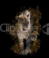 Watercolor Image Of  Leopard