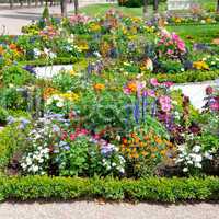 delightful flower bed in the summer park