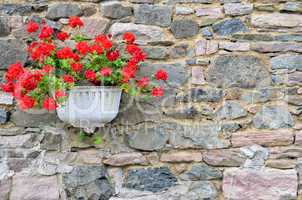 Blumen Steinmauer