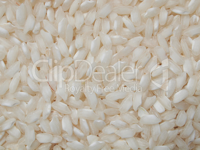 Rice food