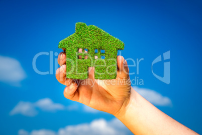 Grass home - Eco Concept