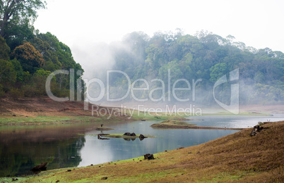 India Kumily, Kerala, India - National park Periyar Wildlife San
