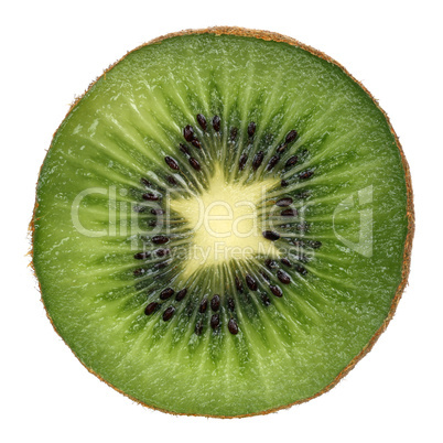 Kiwi Frucht