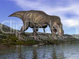 Tyrannosaurus rex dinosaur - 3D render