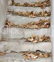 Autumn leaves on stairs