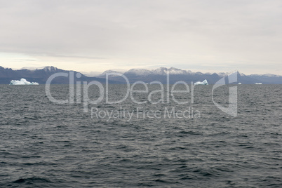 Icebergs around Disko Island