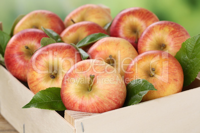 Äpfel in Kiste