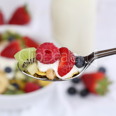 Früchte Joghurt auf Löffel zum Frühstück
