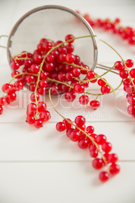 Johannisbeeren