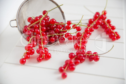 Johannisbeeren