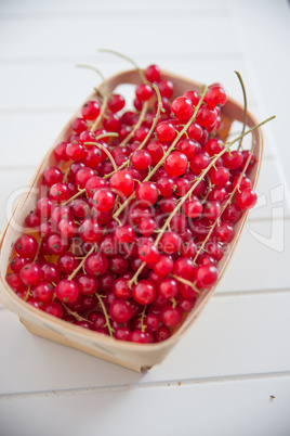 Johannisbeeren