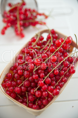 Johannisbeeren