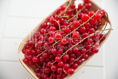 Johannisbeeren