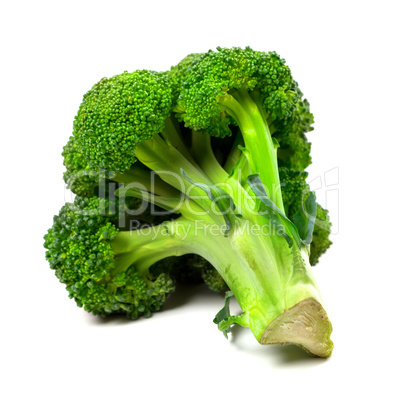 Broccoli on white background