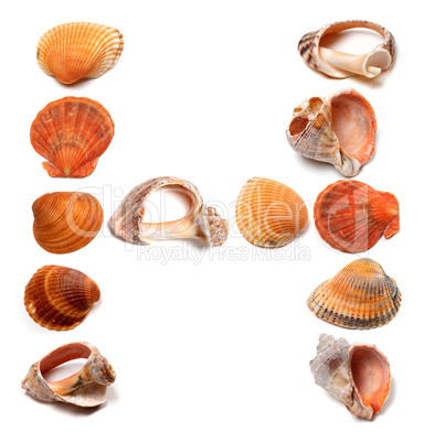 Letter H composed of seashells
