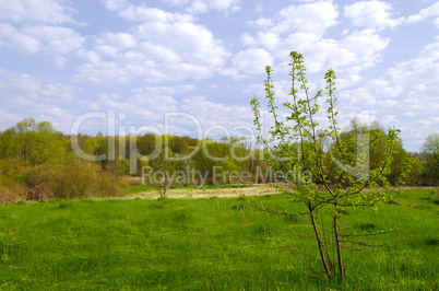 Landscape in the early spring with wood, field and clouds