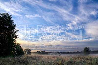 Landscape with the morning mist