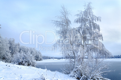 Winter landscape with trees, covered with hoarfrost and lake vie