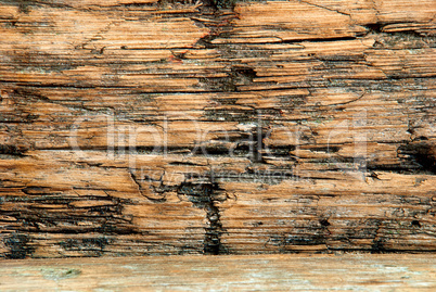 Old Plank